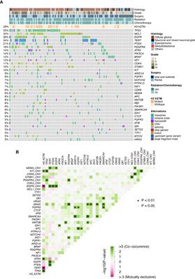 Genomic Profiling Identified Novel Prognostic Biomarkers in Chinese Midline Glioma Patients